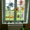 sam_4478